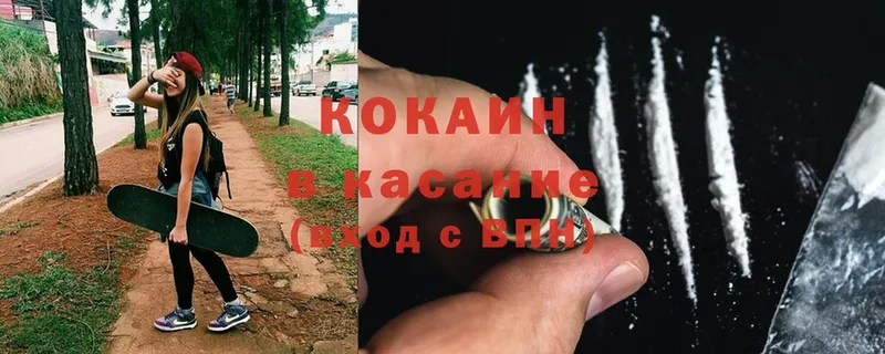 mega как зайти  Богородицк  Cocaine Fish Scale 